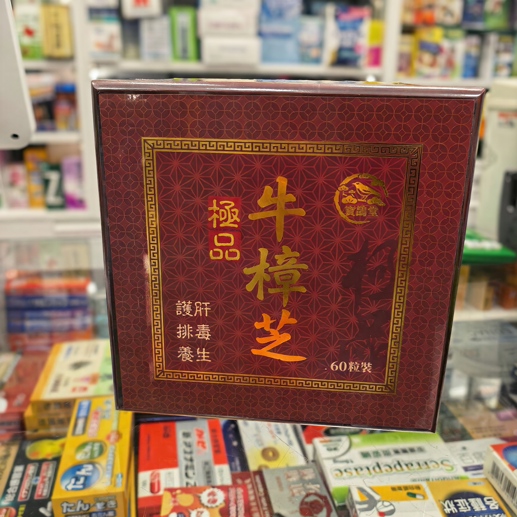 極品牛樟芝